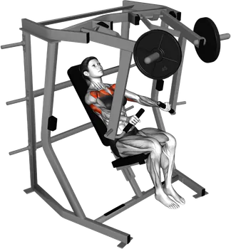 Lever Decline Chest Press thumbnail thumbnail