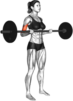 Exercise video 2