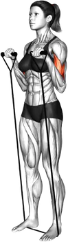 Band Reverse Curl thumbnail