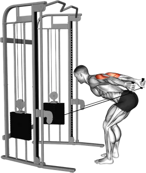 Exercise video 2