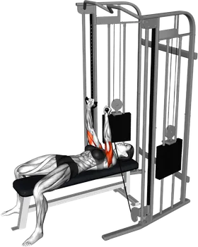 Cable Bench Press thumbnail thumbnail
