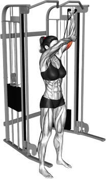 Cable High-Pulley Single-Arm Tricep Extension thumbnail thumbnail