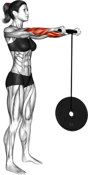 Wrist Roller thumbnail thumbnail