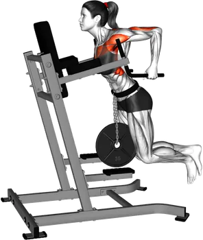 Weighted Tricep Dips thumbnail