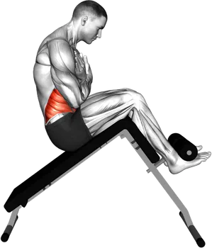 Decline Sit-Up demo video 2