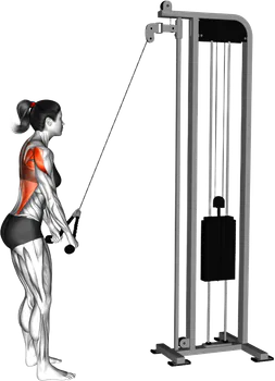 Cable Standing Pulldown thumbnail thumbnail