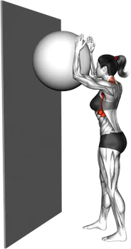 Exercise Ball Serratu Wall Slide thumbnail thumbnail