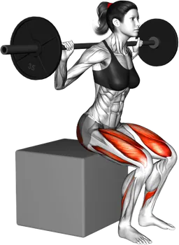 Box Barbell Squat thumbnail thumbnail