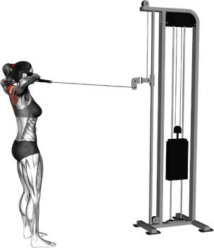 Cable Standing Face Pull thumbnail thumbnail