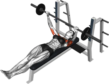 Barbell Larsen Bench Press thumbnail thumbnail