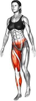 Bodyweight Single-Leg Balance Stand thumbnail thumbnail