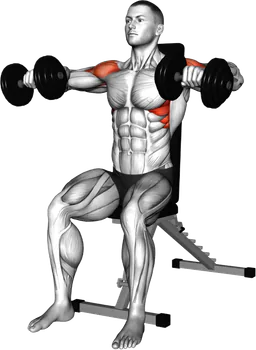 Dumbbell Seated Arm Lateral Bent Raise thumbnail
