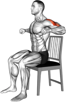 Chair Seated Row demo video 3