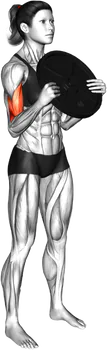 Weight-Plate Standing Bicep Curl thumbnail thumbnail