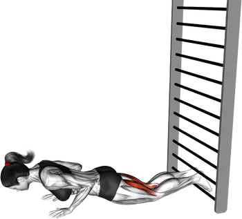 Nordic Hamstring Curl thumbnail thumbnail
