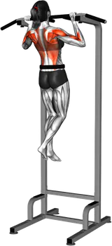 Weighted Chin-Up thumbnail thumbnail