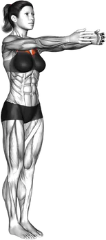 Shoulder Transverse Flexion thumbnail thumbnail