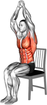 Chair Seated Row demo video 2