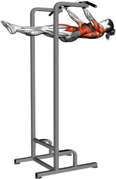 Lever Hanging Front Raise demo video 2