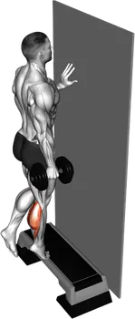 Dumbbell Single-Leg Calf Raise demo video 3