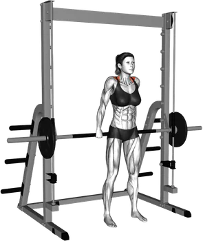 Smith-Machine Back Shrug thumbnail thumbnail