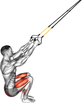 TRX ™ Squat demo video 2
