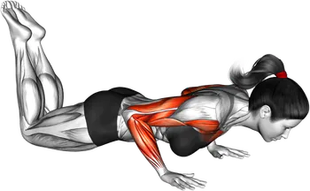 Kneeling Explosive Push-Up thumbnail thumbnail