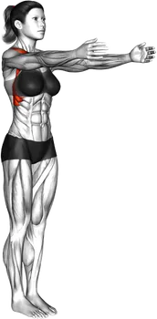 Shoulder Flexion thumbnail thumbnail