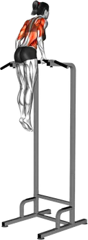 Muscle Bar Up thumbnail thumbnail