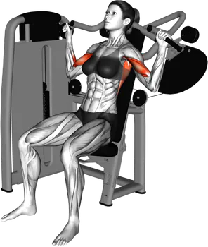 Lever Cross Lat Pulldown thumbnail thumbnail