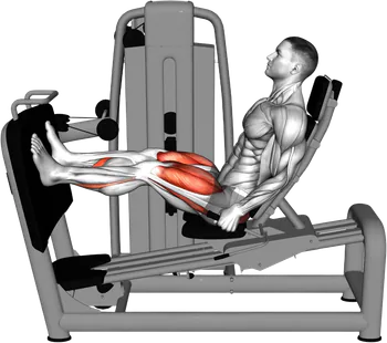 Machine Seated Leg Press demo video 3