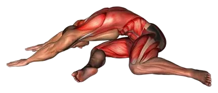 Exercise video 2