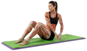 Bodyweight Leg-Down Russian-Twist thumbnail thumbnail