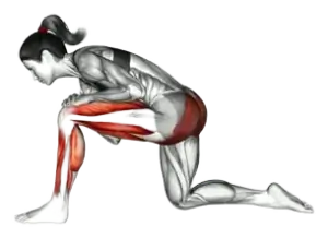 Kneeling Hip-Flexor Lunging Stretch thumbnail thumbnail
