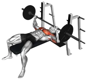 Barbell Spoto Press thumbnail thumbnail