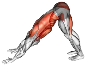 Alternating Leg Downward Dog demo video 2