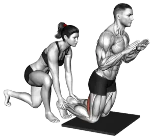 Assisted Nordic Partner Curl demo video 2