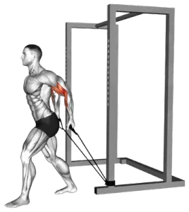 Exercise video 2