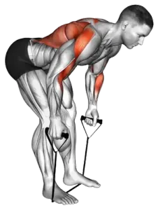 Band Bent-Over Row demo video 2