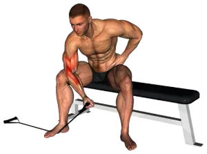 Exercise video 2