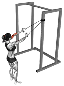 Band Across-Chest Bicep Curl thumbnail thumbnail