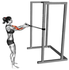 Band Horizontal Bicep Curl thumbnail