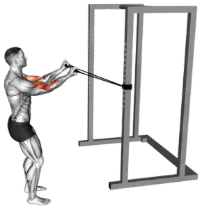 Exercise video 2