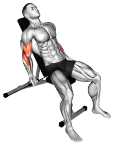 Band Incline Bicep Curl thumbnail thumbnail