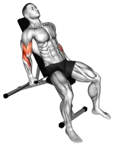 Band Incline Hammer Curl thumbnail thumbnail
