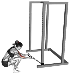 Band Kneeling Preacher Curl thumbnail thumbnail