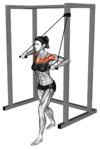Alternating Band Low Chest Press thumbnail thumbnail