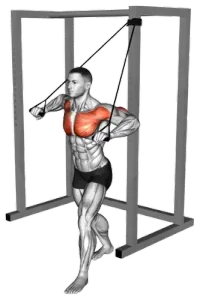 Exercise video 2