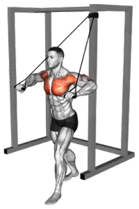 Exercise video 2
