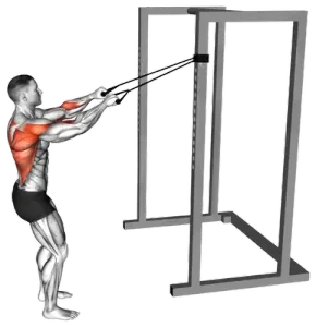 Exercise video 2